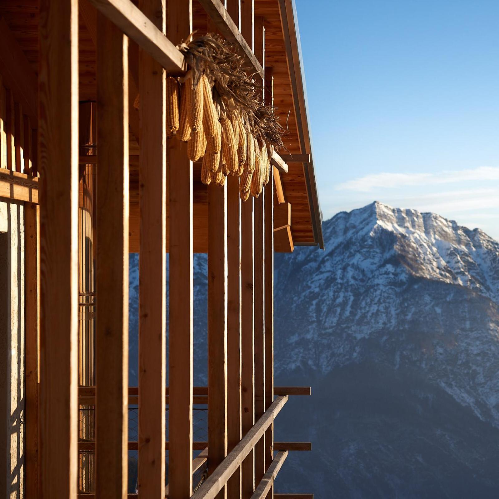 Nif: Alpine Taste Hotel Levico Terme Kültér fotó